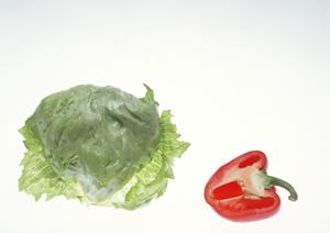 ホストクラブ以外に経営をしている会社